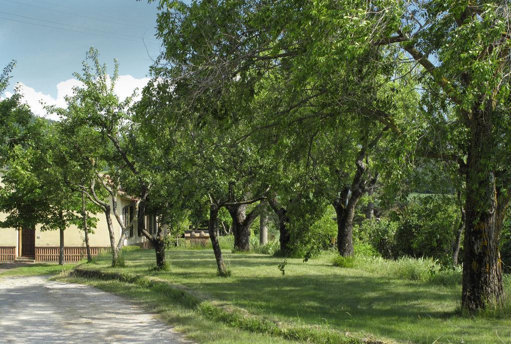 Agriturismo Il Casalone Монтепульчано Экстерьер фото